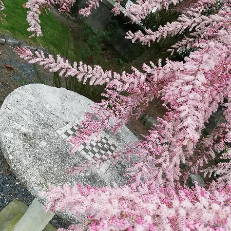 Ceirano Bed and Breakfast Lagnasco