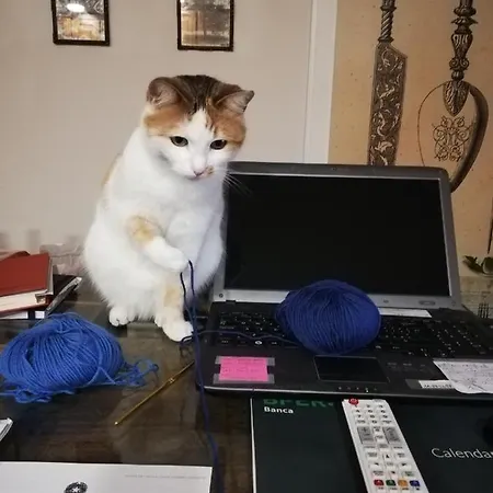 Bed & Breakfast Ceirano Lagnasco