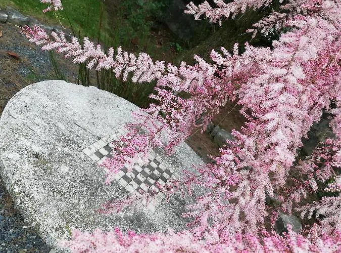 Ceirano Nocleg ze śniadaniem Lagnasco