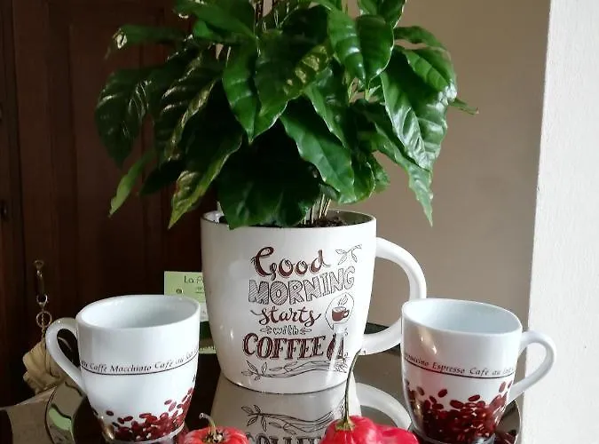 Ceirano Nocleg ze śniadaniem