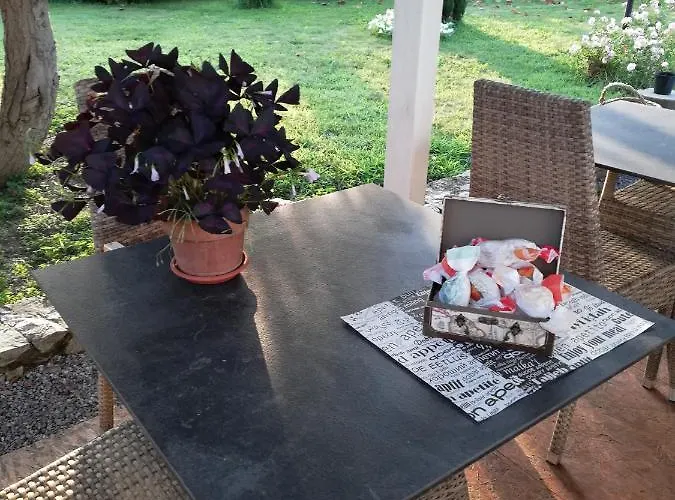 Nocleg ze śniadaniem Ceirano 3*