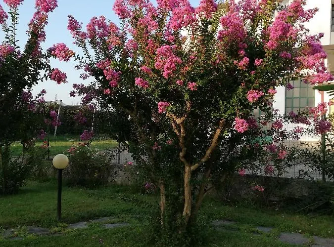 Ceirano Nocleg ze śniadaniem Lagnasco