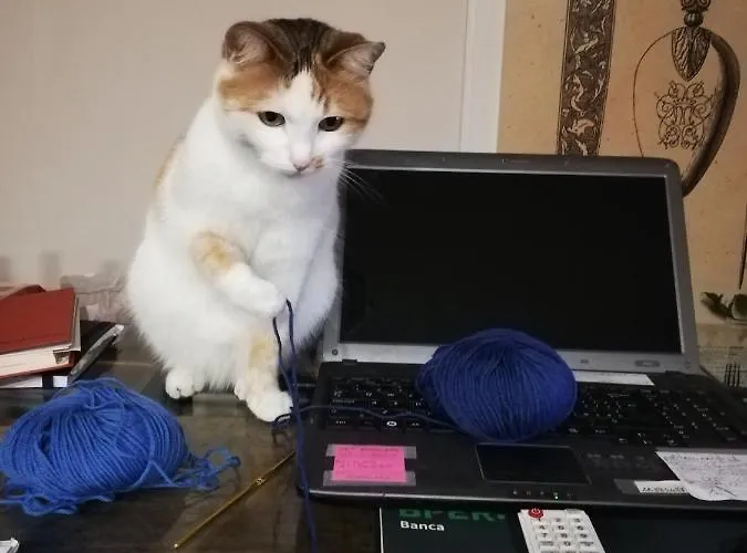 Nocleg ze śniadaniem Ceirano Lagnasco