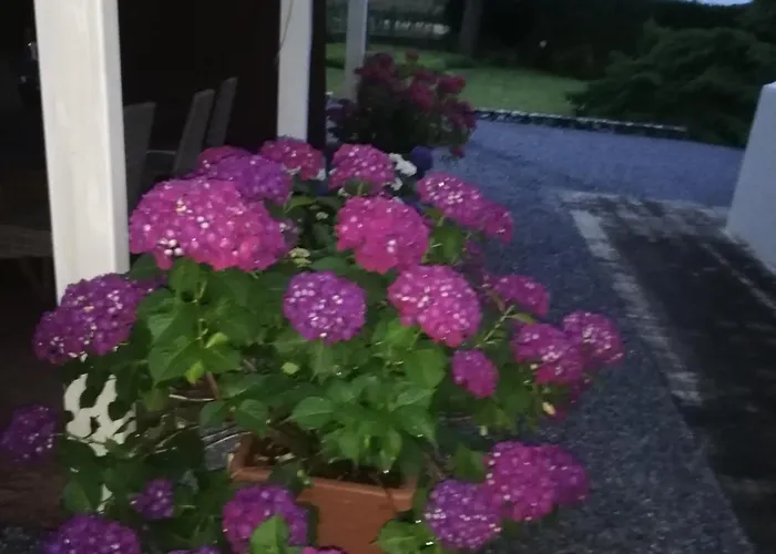 Ceirano Nocleg ze śniadaniem Lagnasco